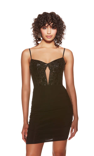 Formal Dress: 4816. Short, V-neck, Straight, Closed Back