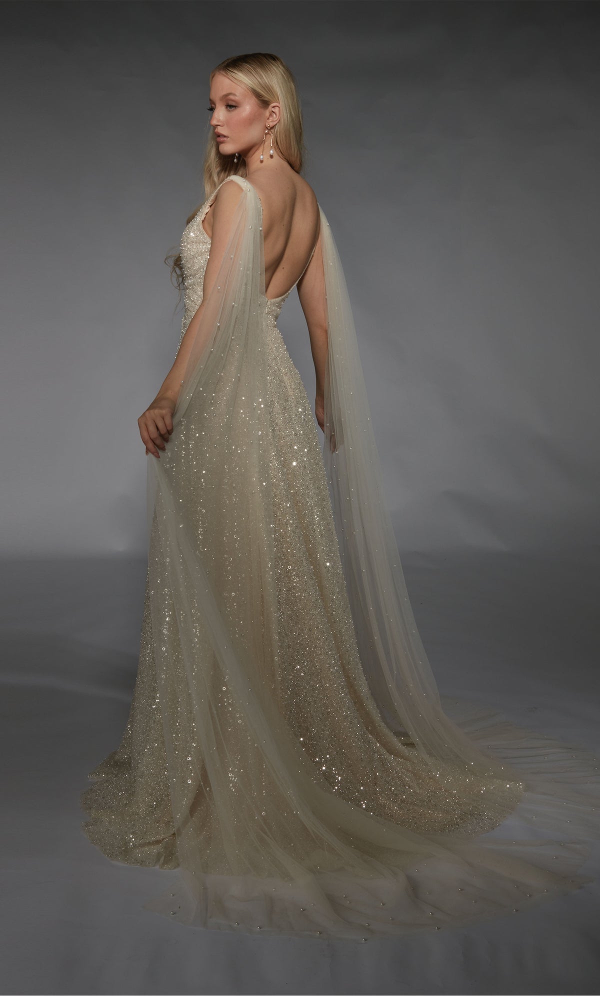 Formal Dress: 7134. Long, Plunging Neckline, A-line, Open Back